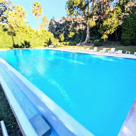 Ref Montrose By Palmes Dproperties Cannes